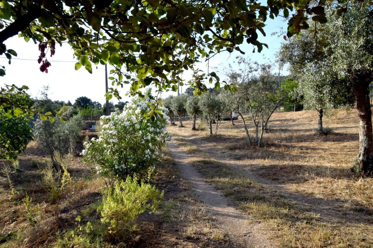 Ola Linda - Casa De Campo - Castelo de Vide Exterior photo