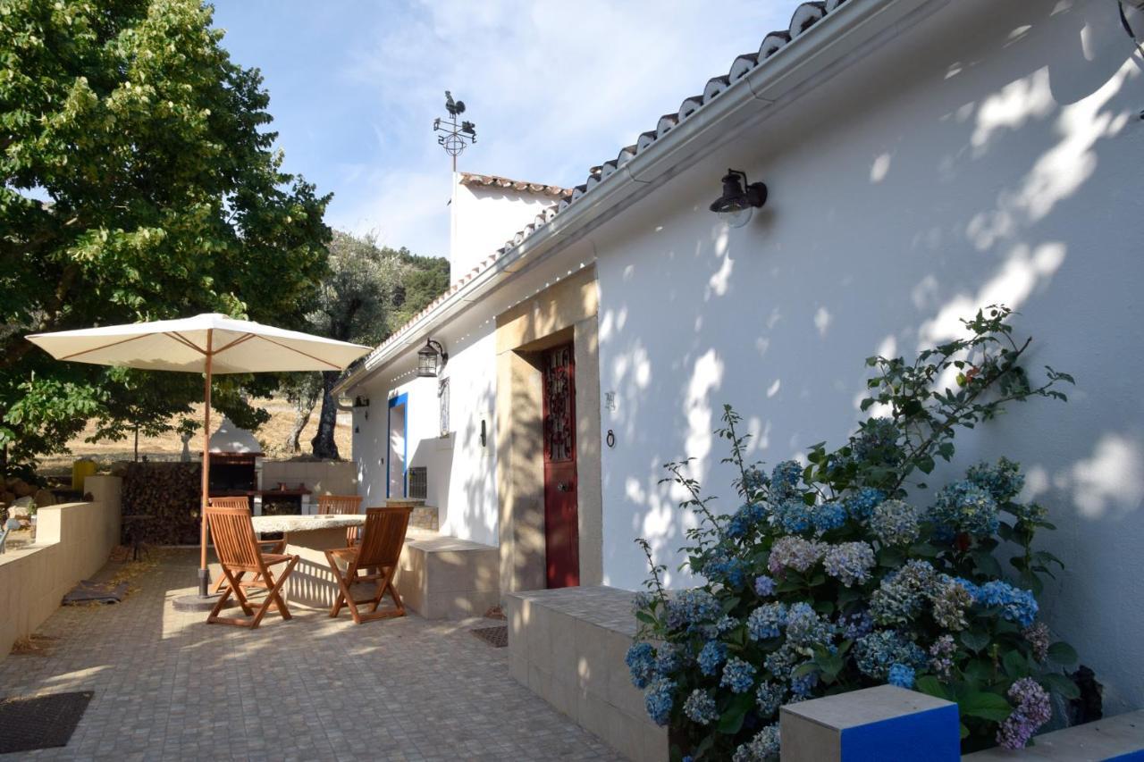 Ola Linda - Casa De Campo - Castelo de Vide Exterior photo