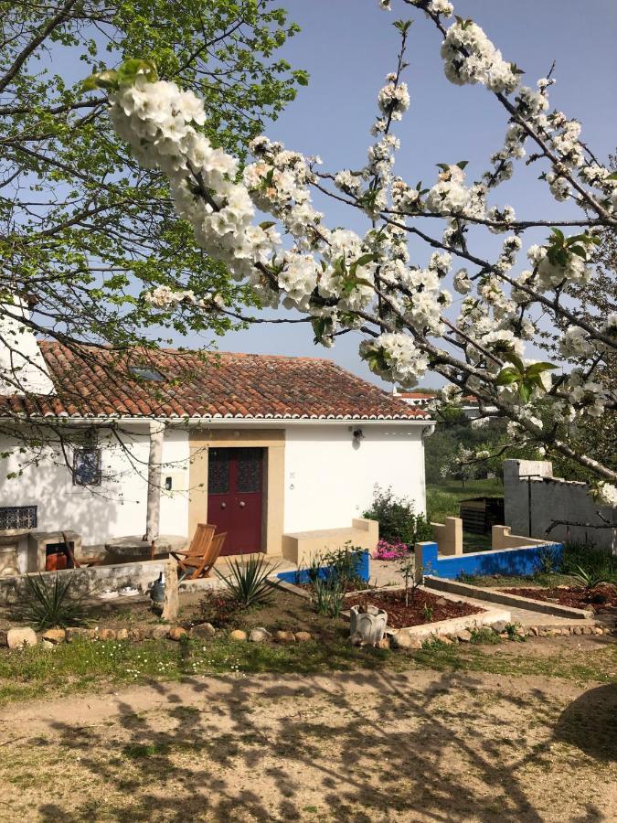 Ola Linda - Casa De Campo - Castelo de Vide Exterior photo